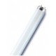 LUMILUX T8 LAMPE FLUORESCENTE LUMILUX(OSRAM), T8 26X720MM COOLWHITE