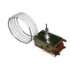 THERMOSTAT POUR R