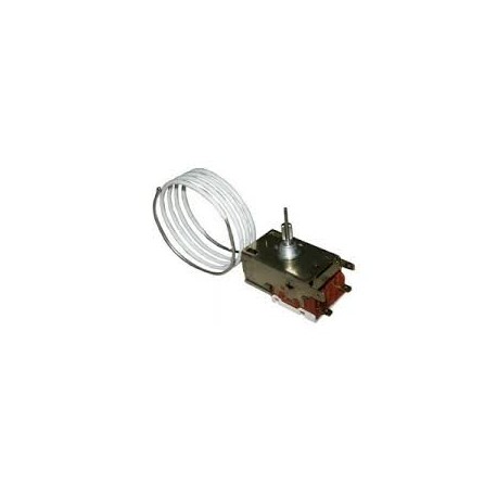 THERMOSTAT POUR R