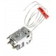 THERMOSTAT POUR R