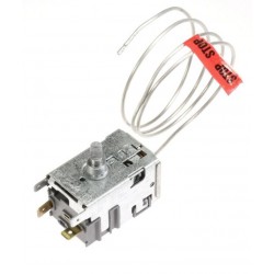 THERMOSTAT POUR R