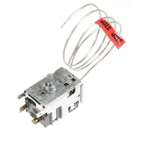 THERMOSTAT POUR R