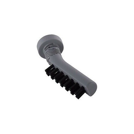 Brosse sp