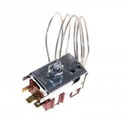 thermostat froid 077b6794 pour r