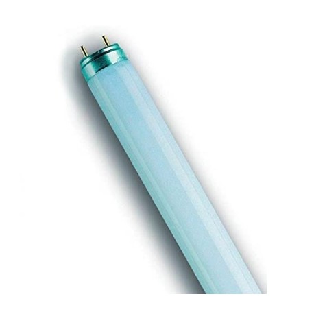 osram lampe fluorescente lumilux t8