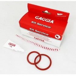 gaggia 21001683 bean to cup cleaning service kit - lubricating grease