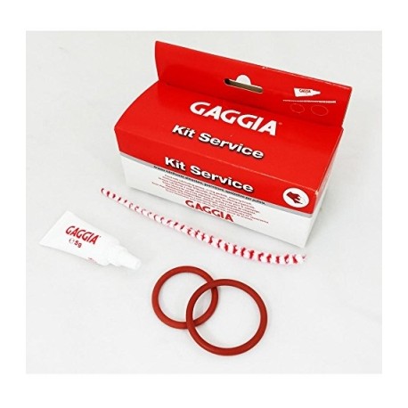 gaggia 21001683 bean to cup cleaning service kit - lubricating grease